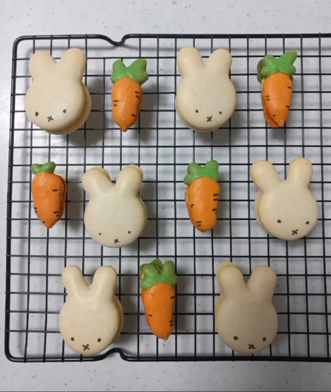 Miffy macaron (Half-Dozen)